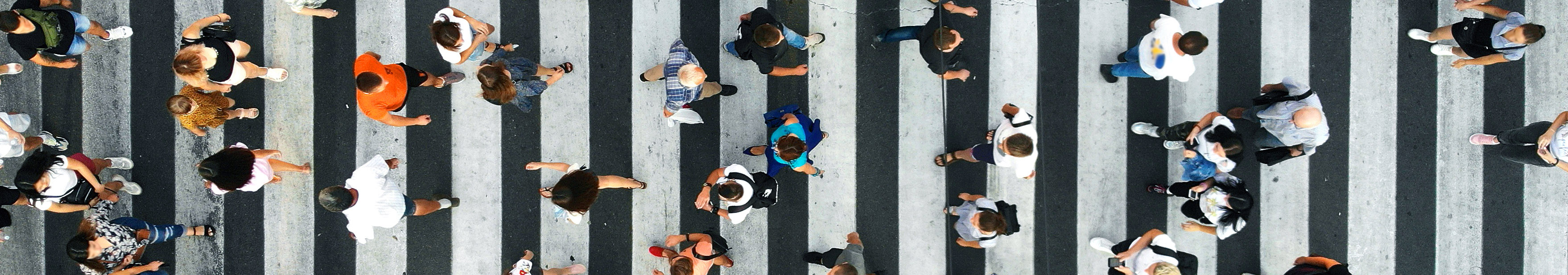 Image From Tallahassee