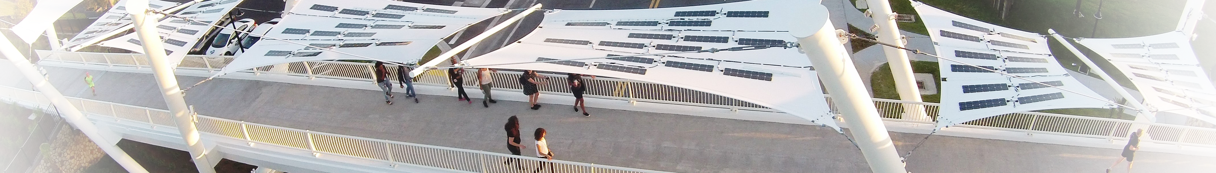 Image From Tallahassee