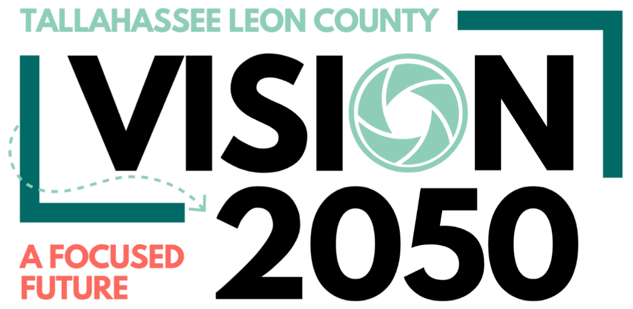 vision 2025 logo